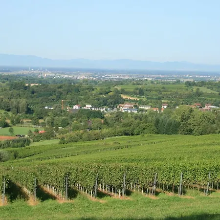 Lägenhet Odas Feriendomizil Europapark Kappel-Grafenhausen